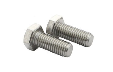 Stainless Steel Bolts