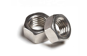 Stainless Steel Nuts