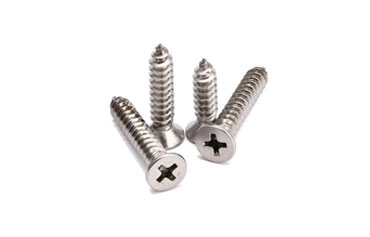 Stainless Steel Screws